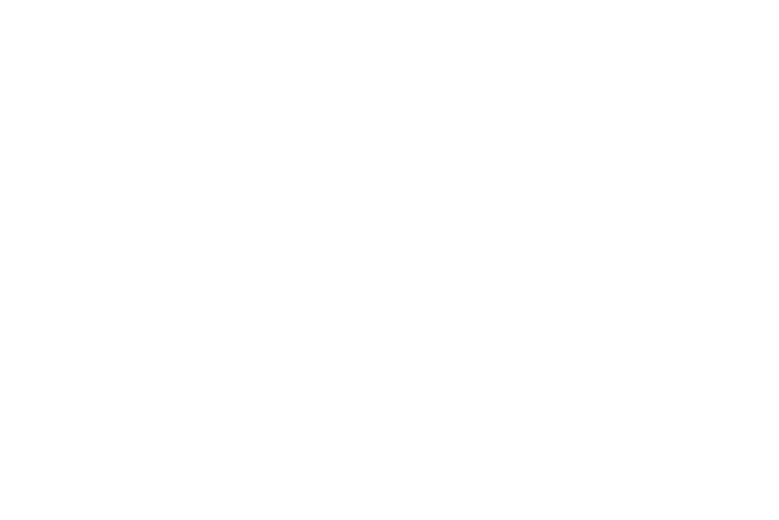 Borgo logo wit